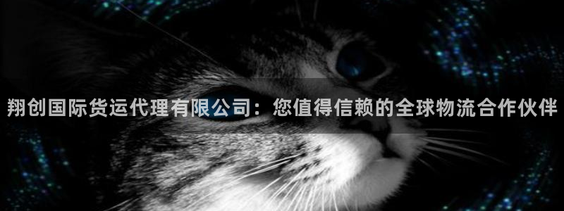 尊龙凯时平台官网：翔创国际货运代理有限公司：您值得信赖的