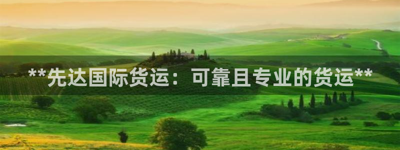 尊龙凯时泰安：**先达国际货运：可靠且专业的货运**