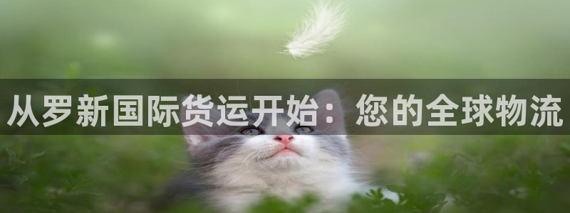 尊龙官网手机版：从罗新国际货运开始：您的全球物流