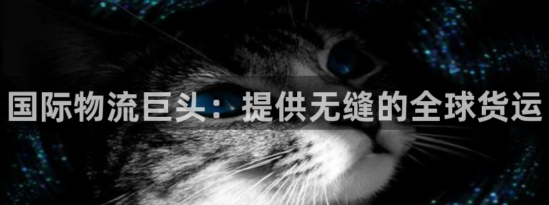尊龙凯时网站怎么样：国际物流巨头：提供无缝的全球货运