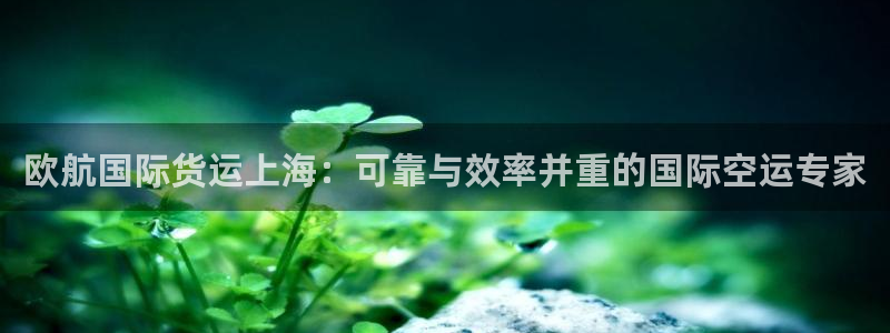 尊龙这个平台怎么样：欧航国际货运上海：可靠与效率并重的国
