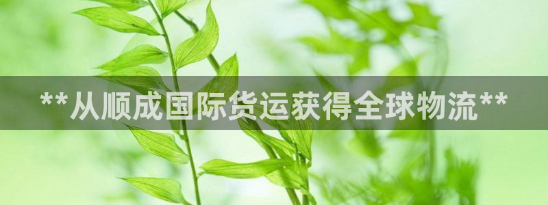 尊龙实业 吴友良：**从顺成国际货运获得全球物流**