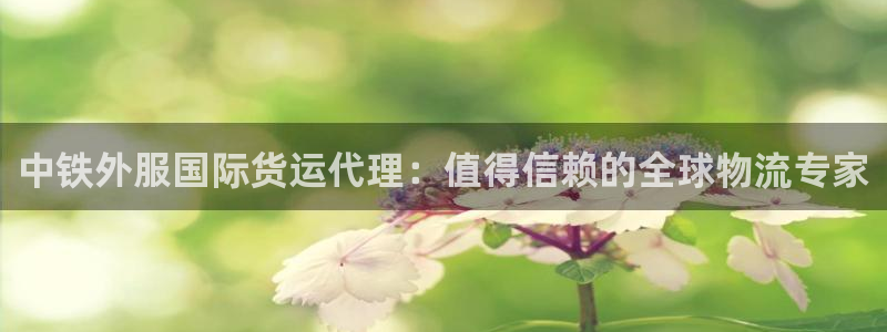 尊龙凯时app官方网站：中铁外服国际货运代理：值得信赖的