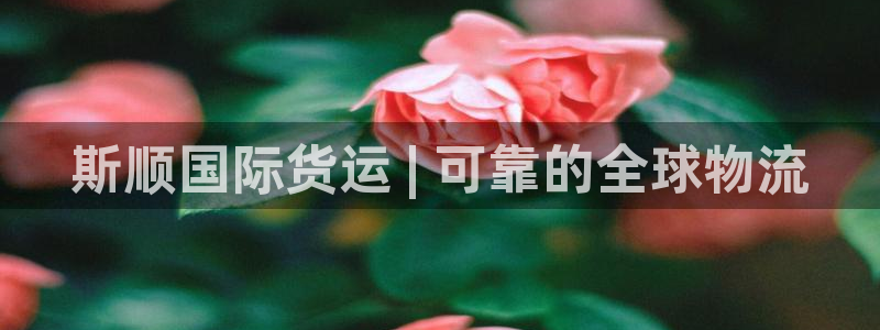 尊龙人生就是博旗舰厅：斯顺国际货运 | 可靠的全球物流