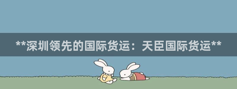 尊龙d88ag旗舰厅：**深圳领先的国际货运：天臣国际货