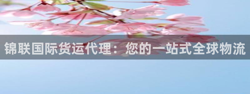 尊龙凯时取款一直支付中：锦联国际货运代理：您的一站式全球