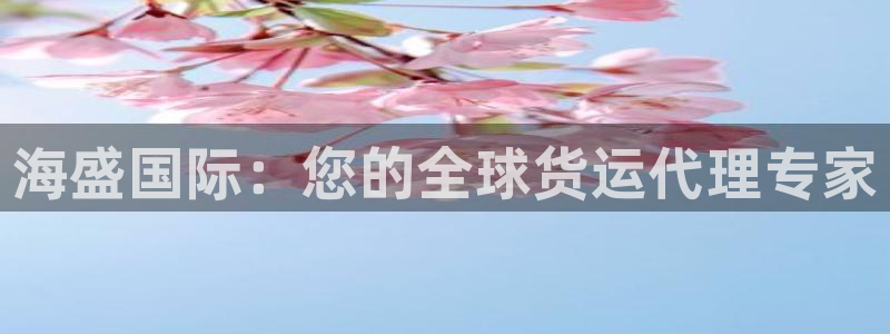 尊龙凯时处理未到账：海盛国际：您的全球货运代理专家