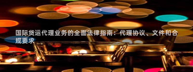 尊龙凯时-人生就是博中国官网最新：国际货运代理业务的全面