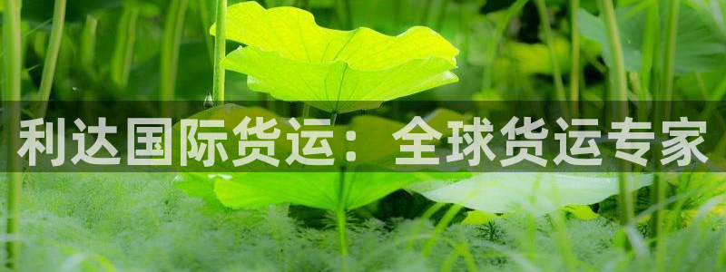 尊龙游戏中心：利达国际货运：全球货运专家