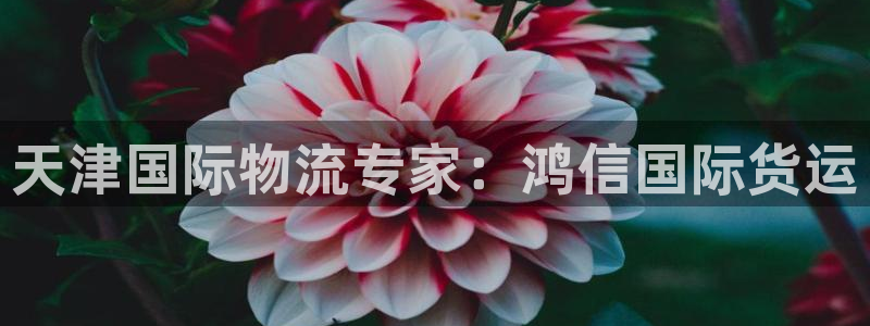 尊龙凯时为什么不封：天津国际物流专家：鸿信国际货运