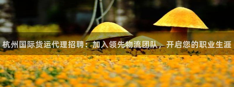 尊龙z6：杭州国际货运代理招聘：加入领先物流团队，开启您
