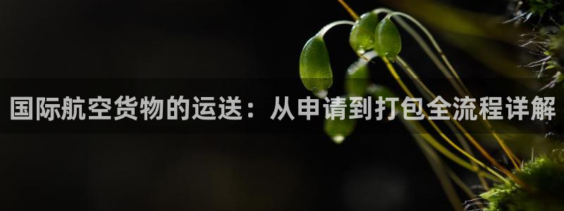 尊龙官方网站
