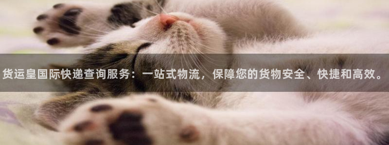 尊龙凯时电竞注册