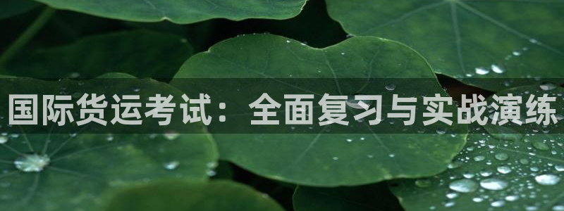 尊龙官网手机版下载