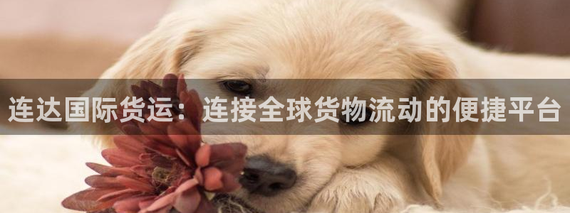 尊龙人生就是博首页