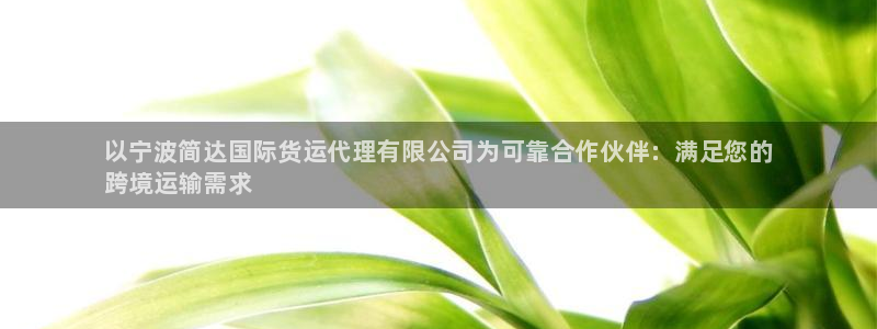 尊龙app怎么样：以宁波简达国际货运代理有限公司为可靠合