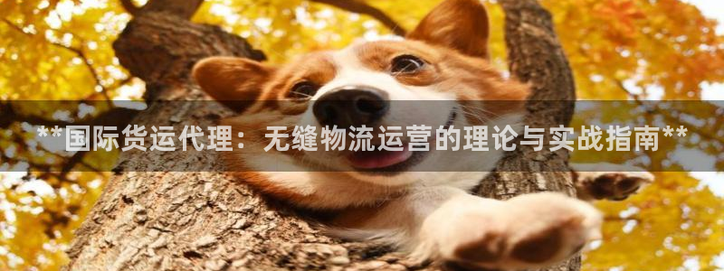 尊龙凯时网站网址：**国际货运代理：无缝物流运营的理论与