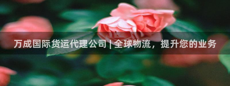尊龙凯时人生就是博·(中国)官网最新：万成国际货运代理公