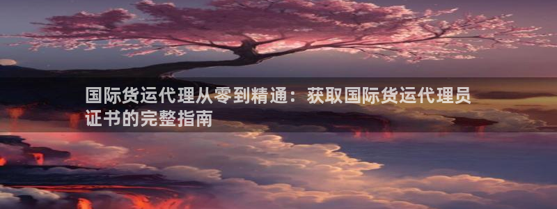 尊龙凯时电竞：国际货运代理从零到精通：获取国际货运代理员