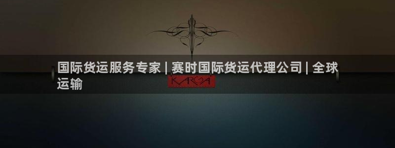 z6com尊龙：国际货运服务专家 | 赛时国际货运代理公