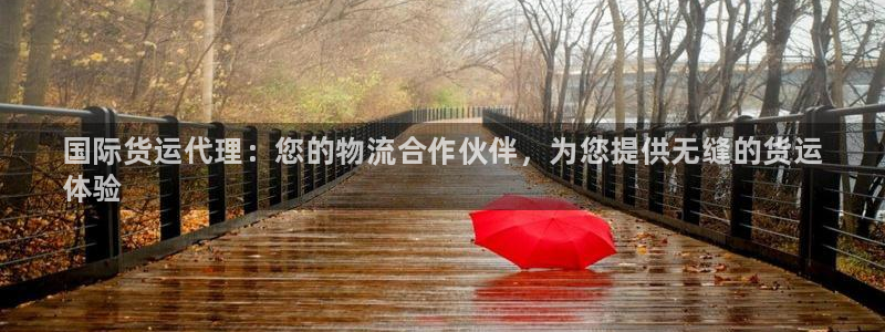 尊龙凯时vip：国际货运代理：您的物流合作伙伴，为您提供