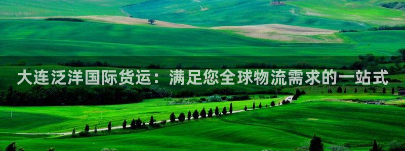 尊龙官网国际：大连泛洋国际货运：满足您全球物流需求的一站