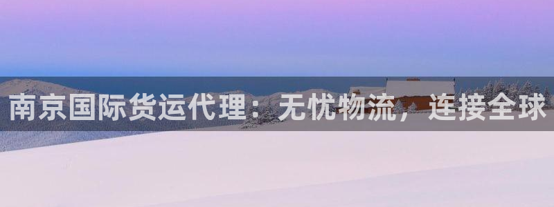 尊龙是什么软件：南京国际货运代理：无忧物流，连接全球