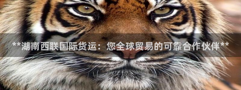 尊龙官网/首选kpm：**湖南西联国际货运：您全球贸易的