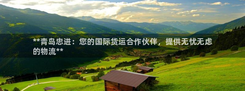尊龙新版官网网页版：**青岛忠进：您的国际货运合作伙伴，