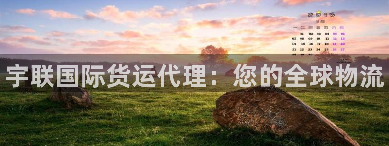 尊龙官方身高：宇联国际货运代理：您的全球物流