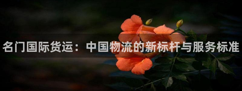 尊龙凯时美金能提取吗