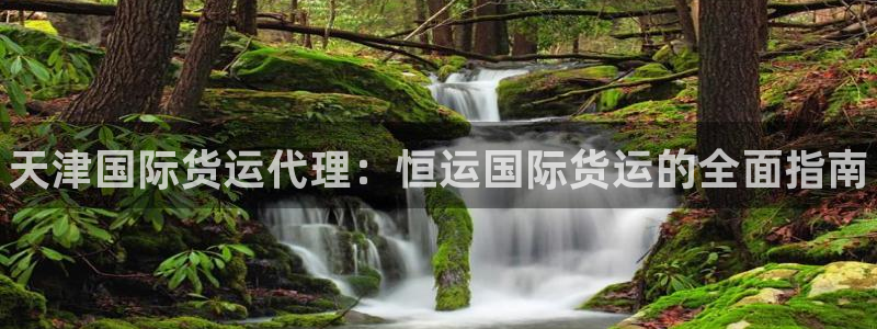 尊龙旗舰厅app：天津国际货运代理：恒运国际货运的全面指