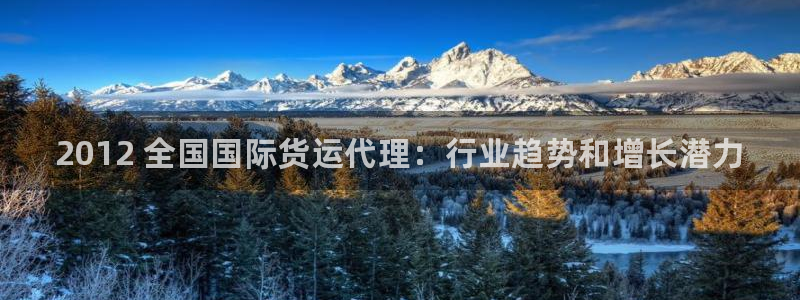 尊龙集团官网：2012 全国国际货运代理：行业趋势和增长