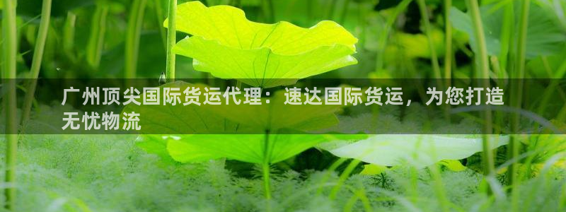 尊龙官网手：广州顶尖国际货运代理：速达国际货运，为您打造