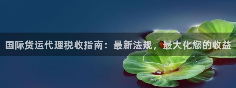 z6com尊龙凯时代理：国际货运代理税收指南：最新法规，