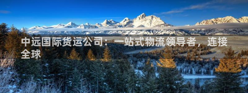尊龙凯时登陆网址：中远国际货运公司：一站式物流领导者，连