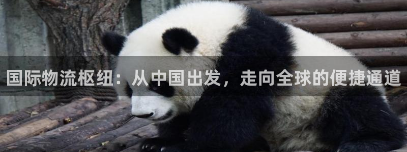 尊龙凯时ag旗舰厅登陆