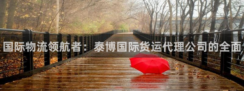 尊龙d88官网登录：国际物流领航者：泰博国际货运代理公司