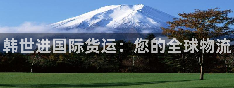 尊龙服饰有限公司地址：韩世进国际货运：您的全球物流