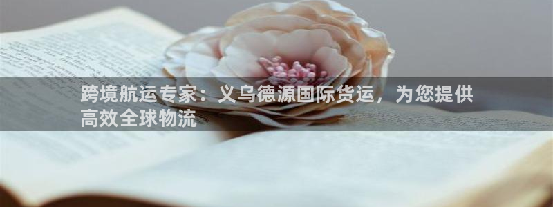 尊龙凯时ag旗舰厅官方网站：跨境航运专家：义乌德源国际货