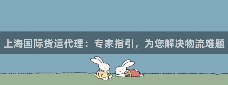 尊龙平台登录：上海国际货运代理：专家指引，为您解决物流难