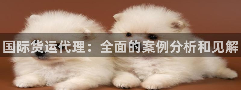 尊龙集团有限公司：国际货运代理：全面的案例分析和见解