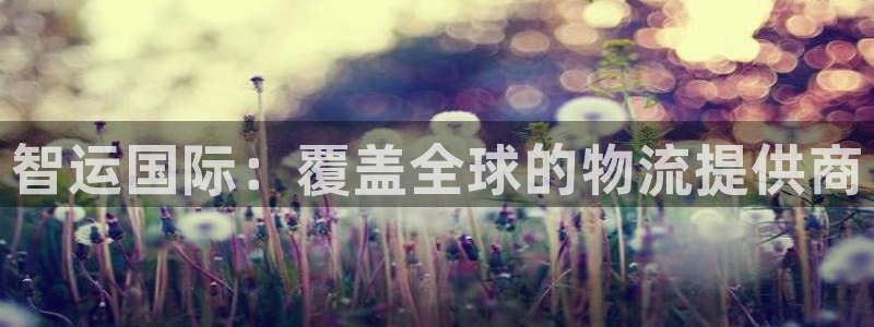 尊龙凯时人生就是搏·(中国)官网：智运国际：覆盖全球的物