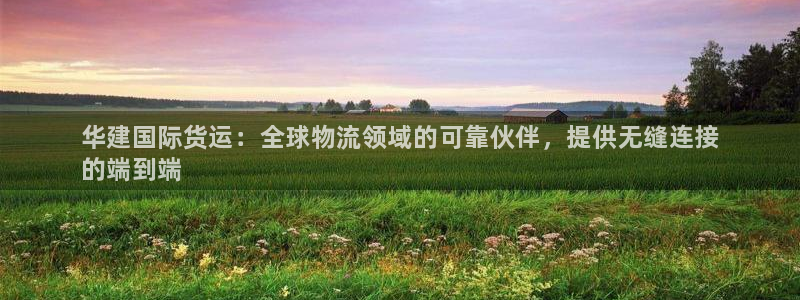 尊龙凯时是不是合法：华建国际货运：全球物流领域的可靠伙伴