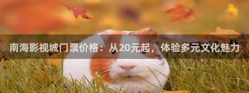 苹果电影网：南海影视城门票价格：从20元起，体验多元文化魅力