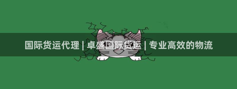 z6尊龙凯时旗舰厅首页：国际货运代理 | 卓盛国际货运 