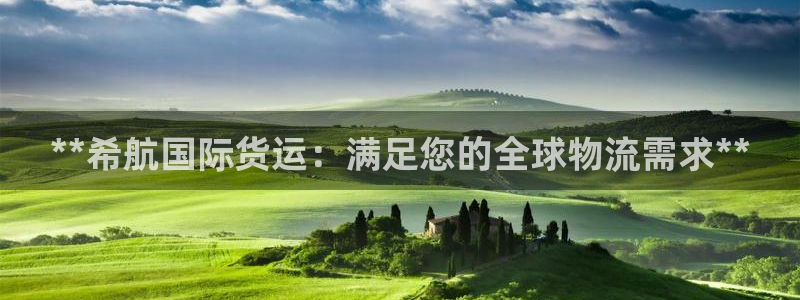 尊龙凯时赞助：**希航国际货运：满足您的全球物流需求**