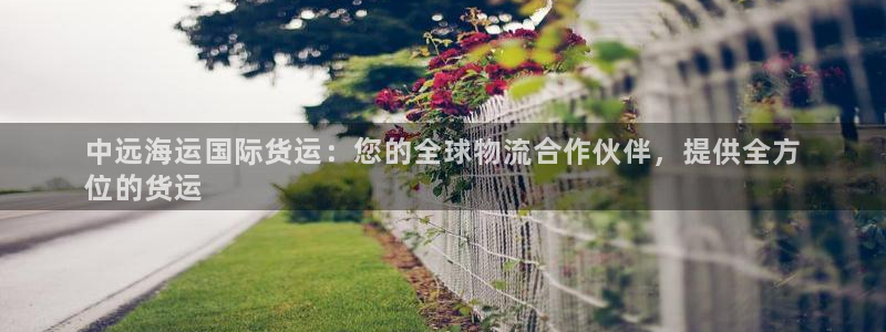 尊龙d88现金关注ag发财网：中远海运国际货运：您的全球
