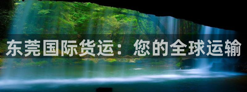 尊龙凯时客服：东莞国际货运：您的全球运输