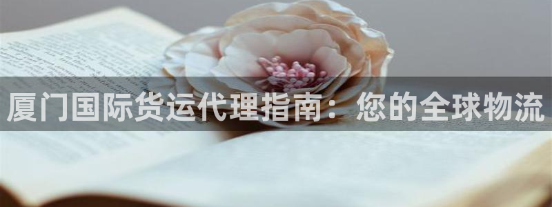 尊龙负面新闻：厦门国际货运代理指南：您的全球物流